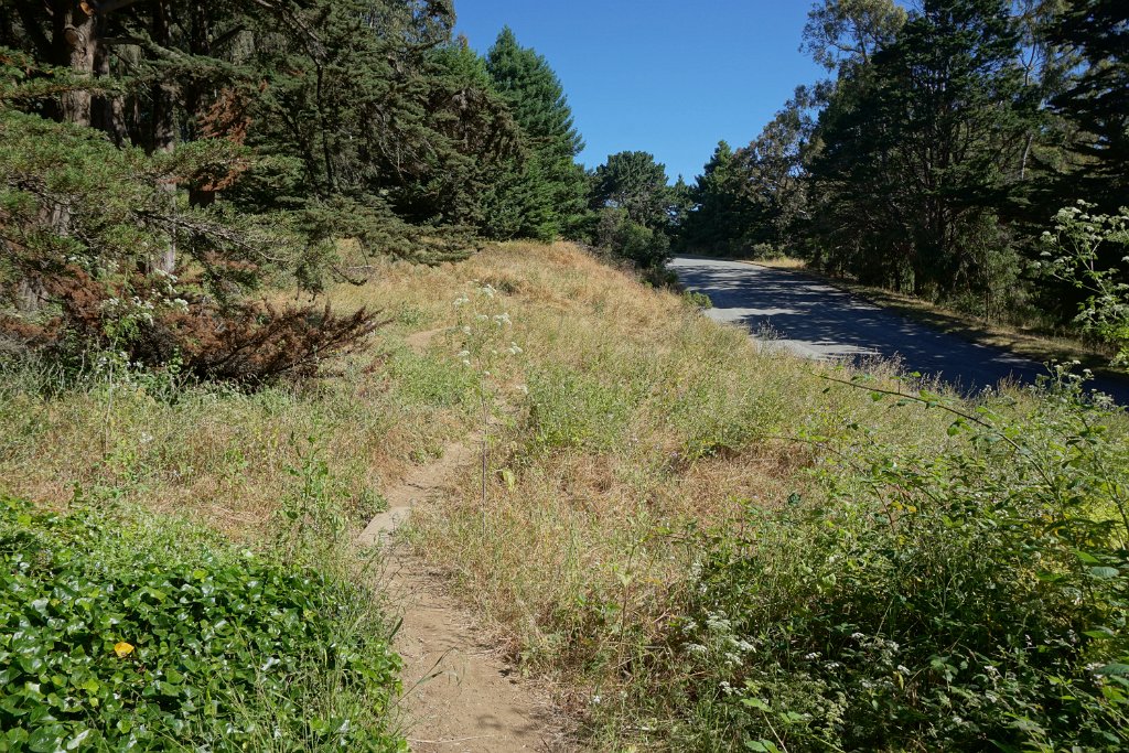 DSC09415