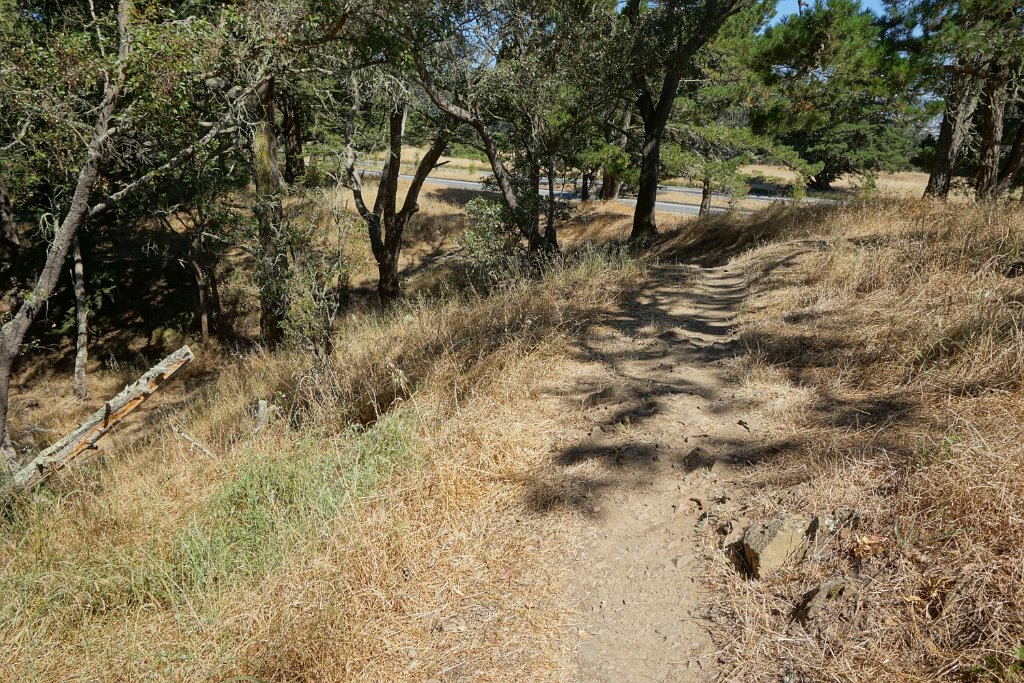 DSC09436