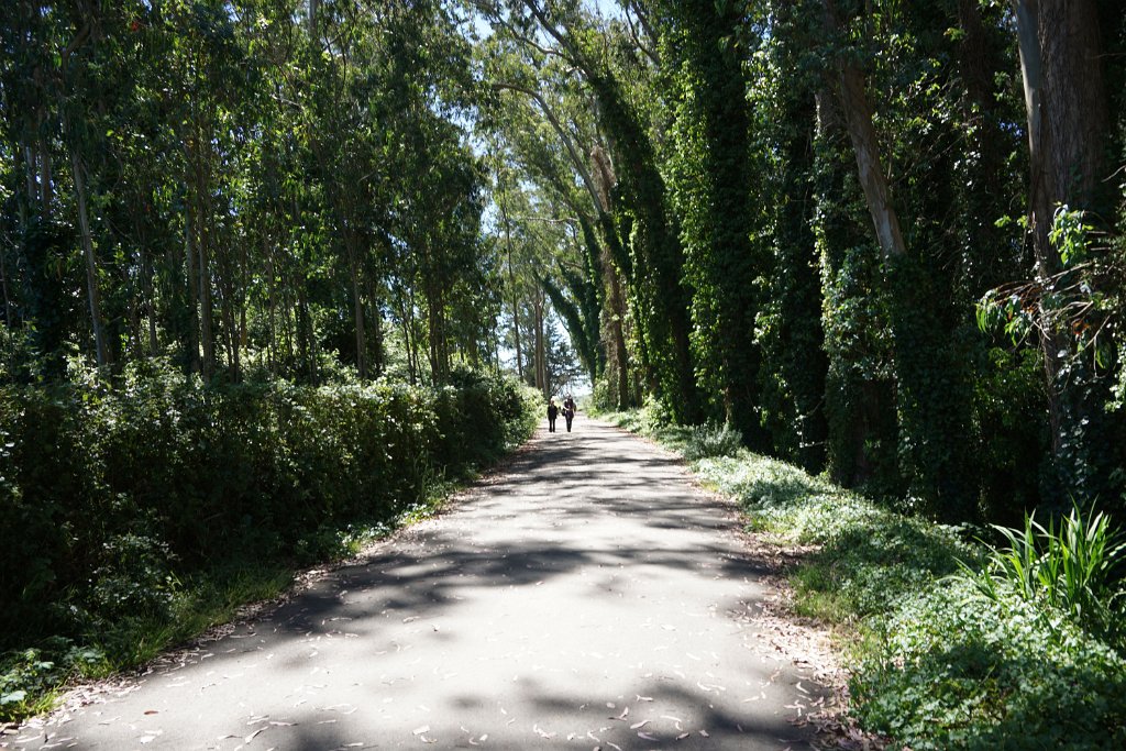 DSC09460