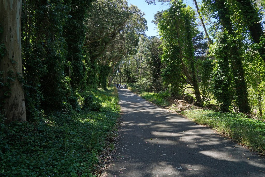 DSC09464