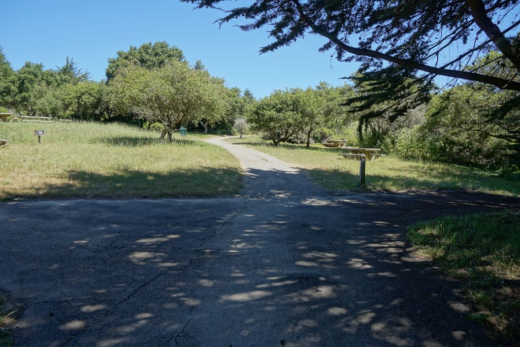DSC09469