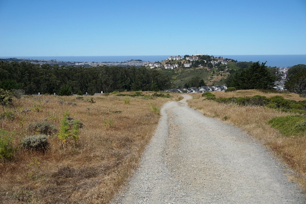 DSC09506