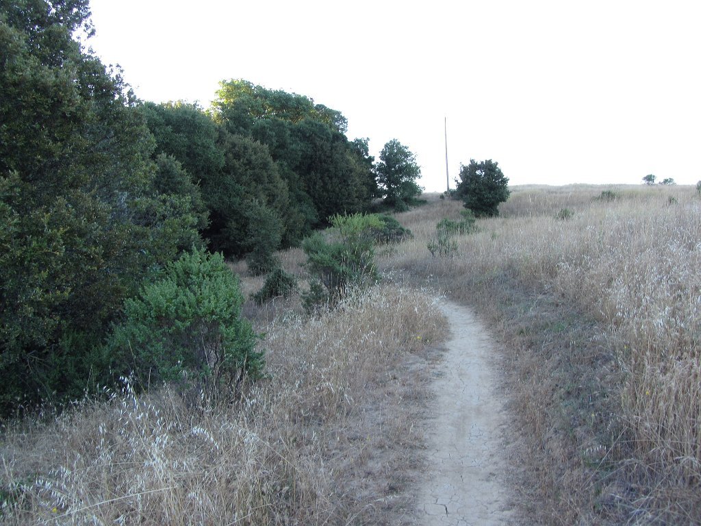 IMG_1343