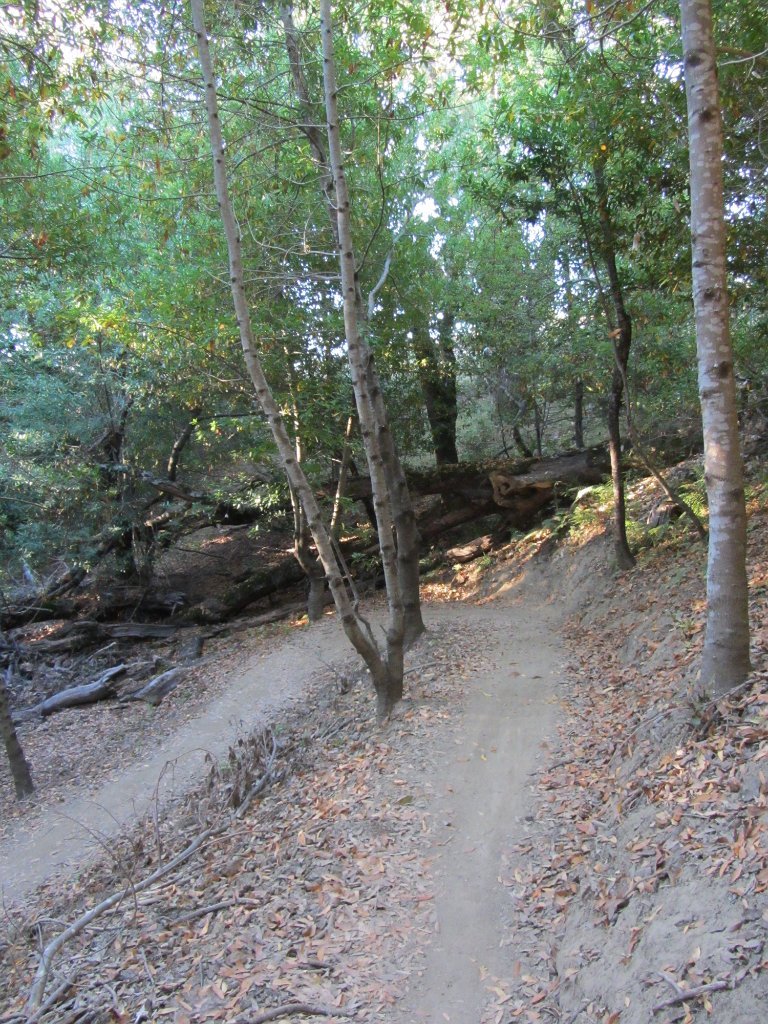 IMG_1348