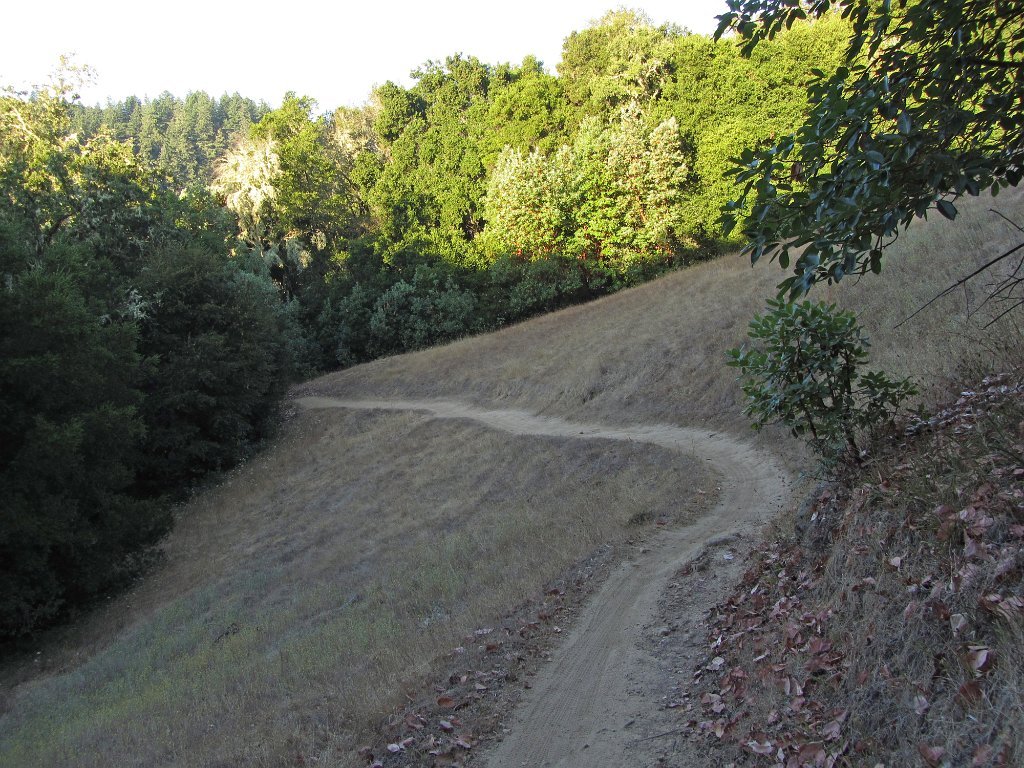 IMG_1351