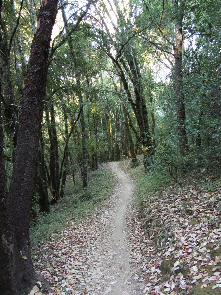 IMG_1352