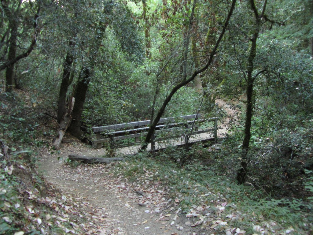 IMG_1353