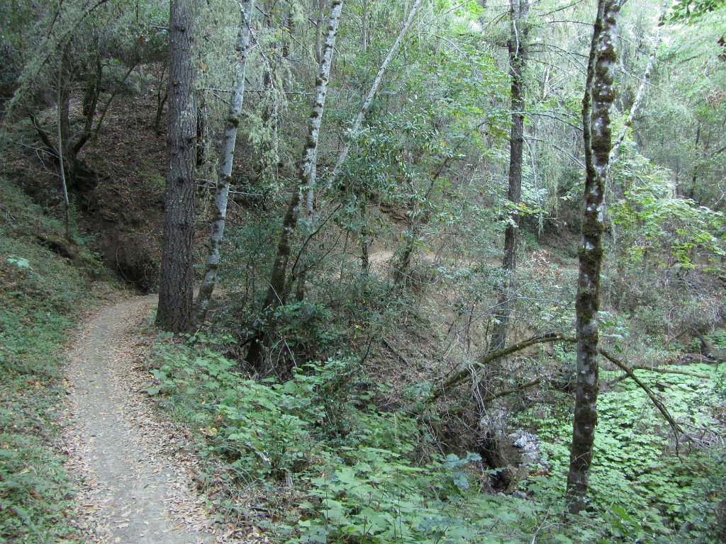 IMG_1360