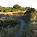 IMG_1339