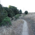IMG_1343