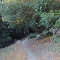 IMG_1349