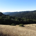 IMG_1370