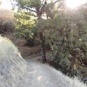 IMG_1372