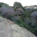 IMG_1373