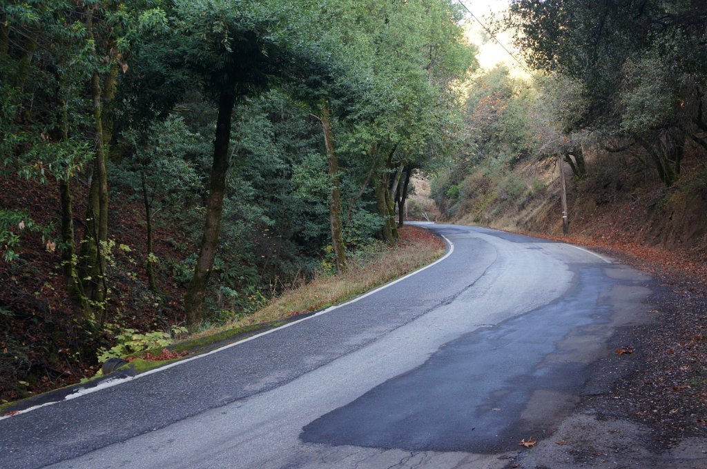 DSC03930