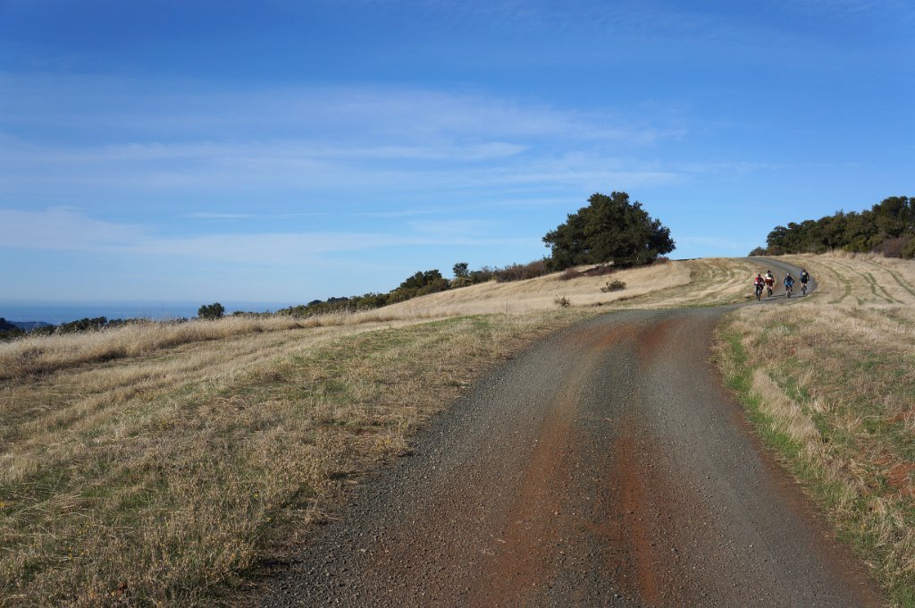 DSC03960