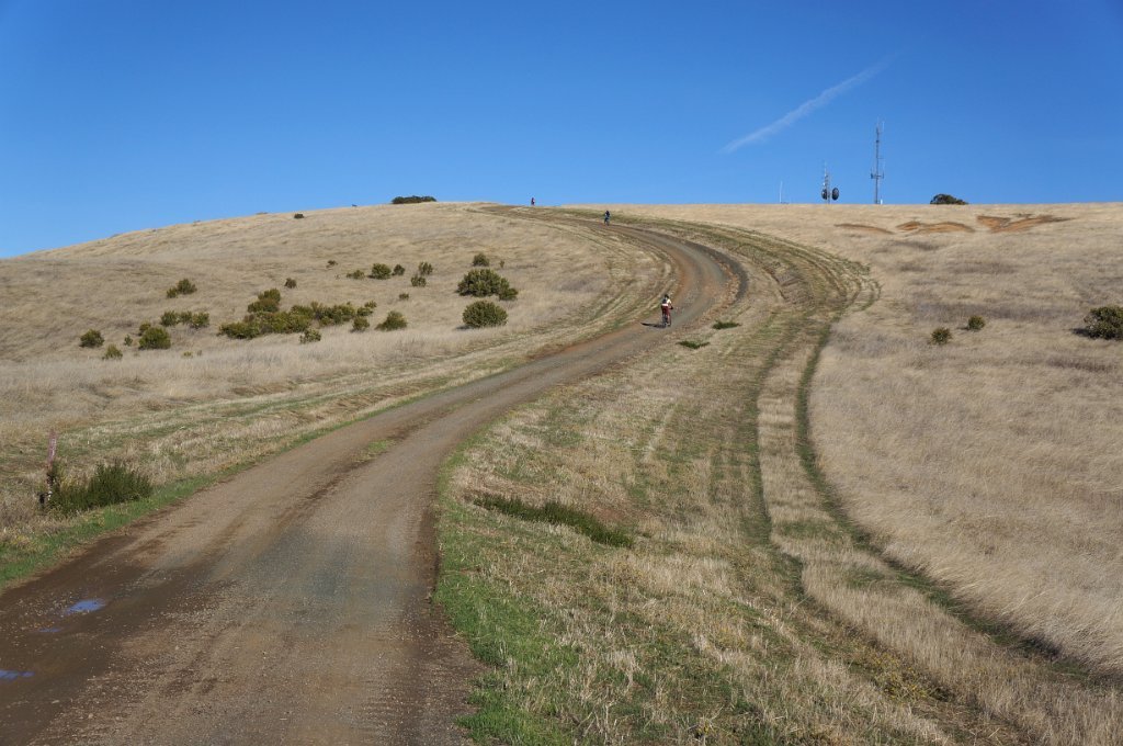 DSC03961