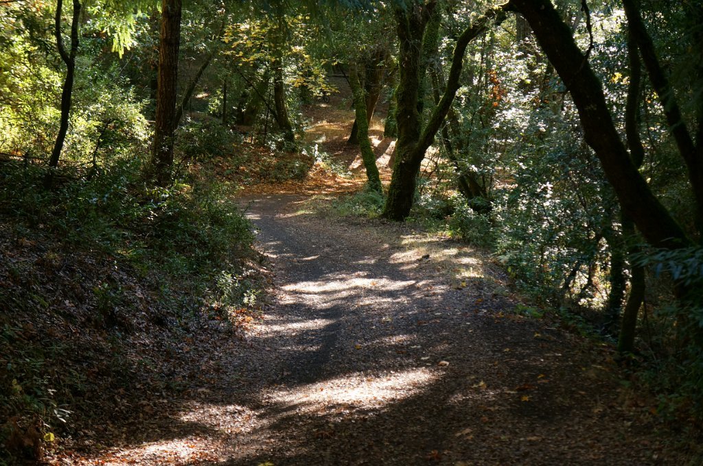 DSC03985