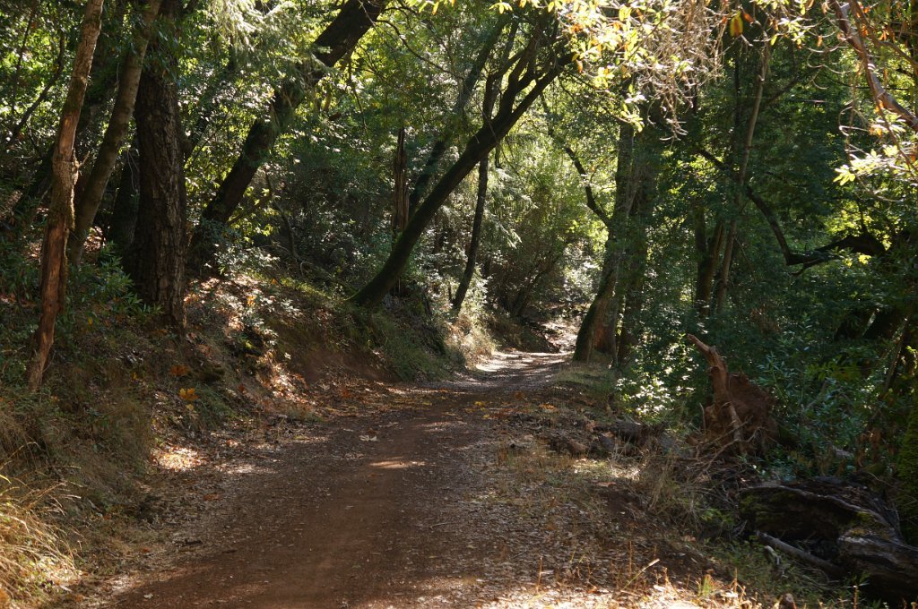 DSC03989