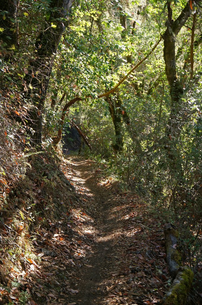 DSC04002