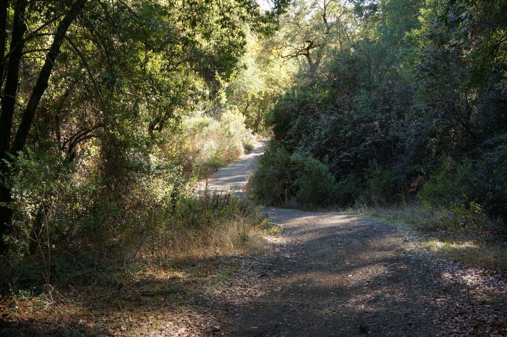 DSC04011