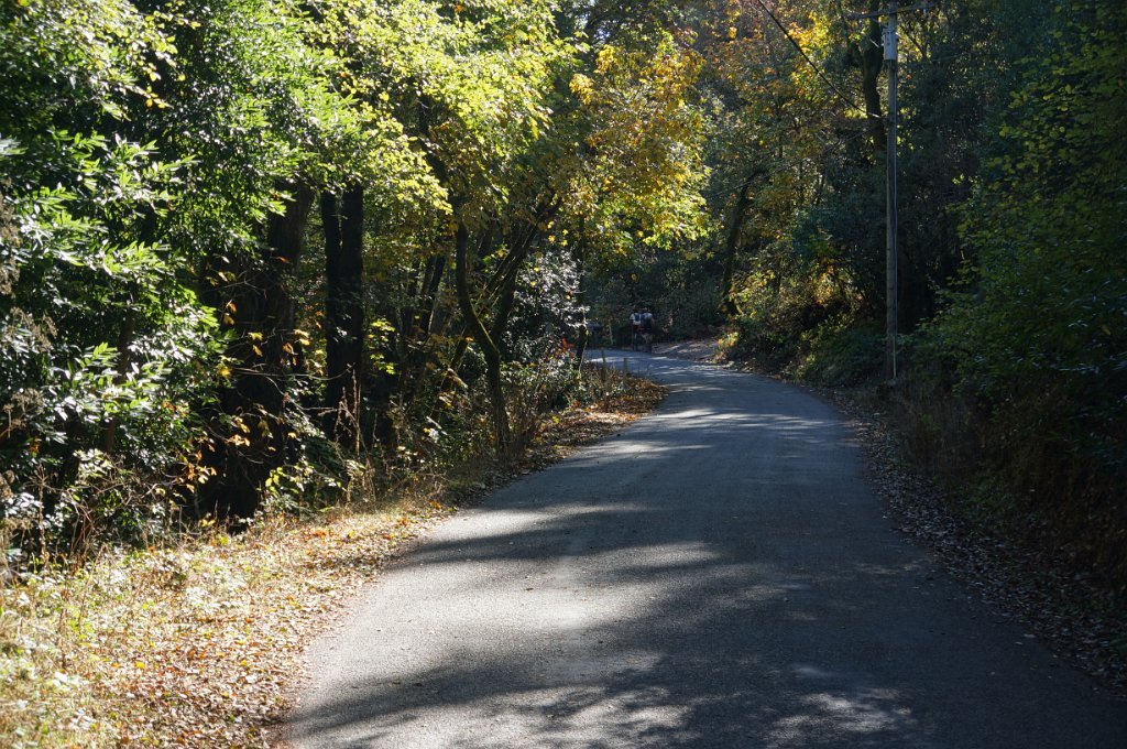DSC04016