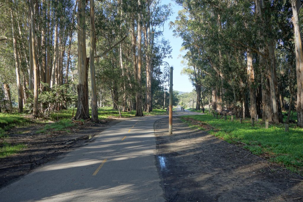 DSC07217
