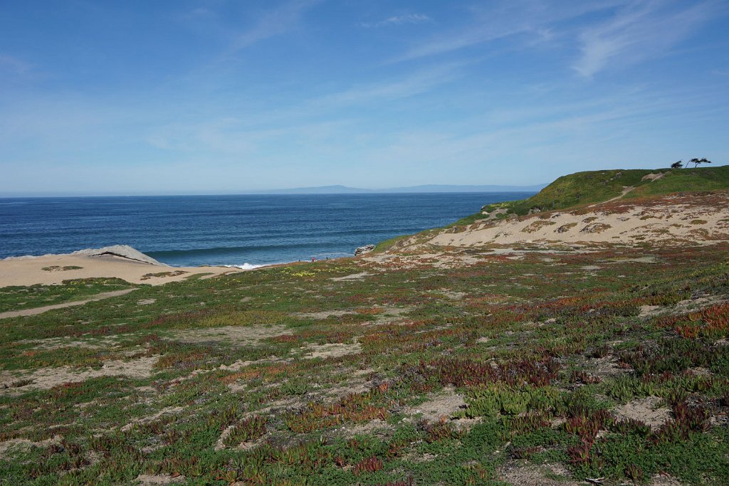 DSC07254