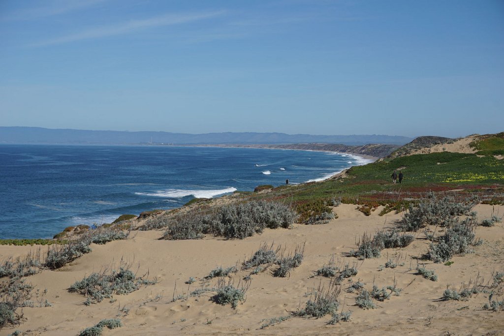 DSC07256