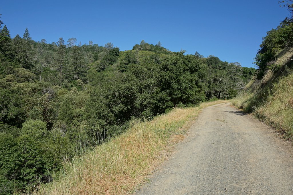 DSC04040
