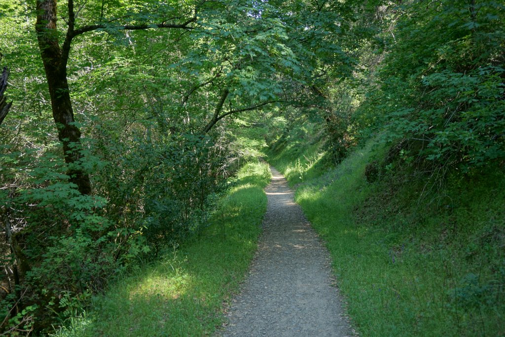 DSC04055