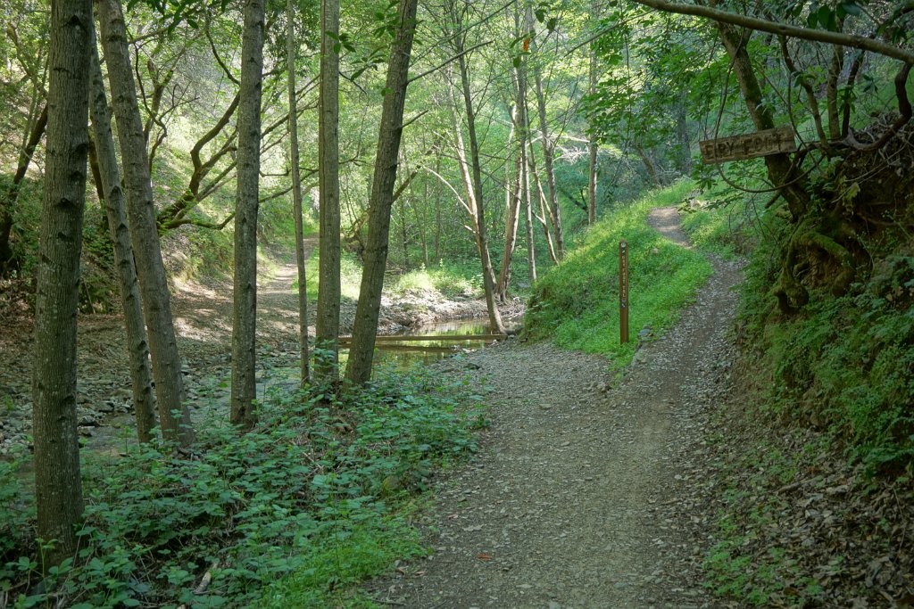 DSC04057