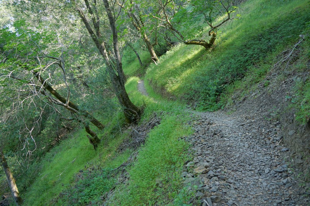 DSC04061