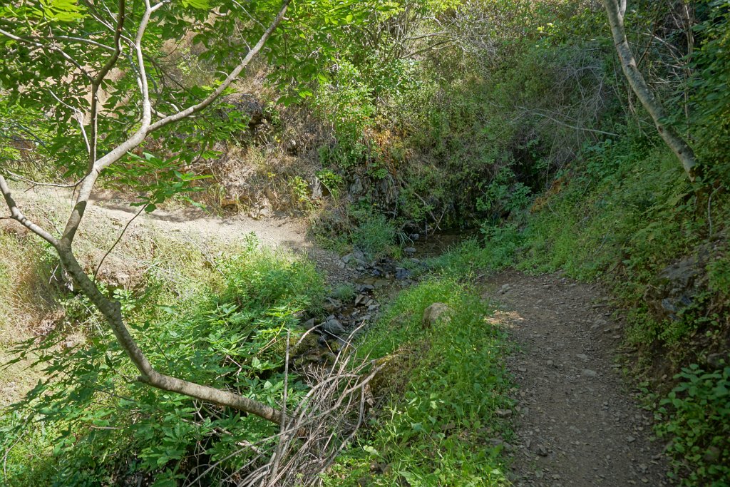 DSC04071