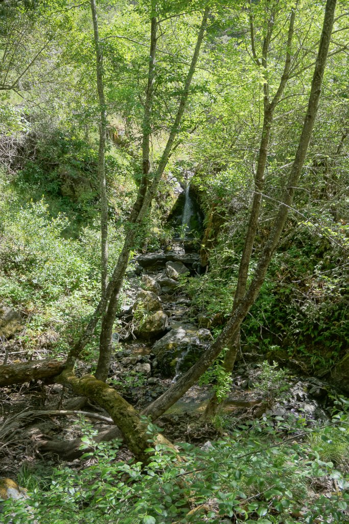 DSC04122