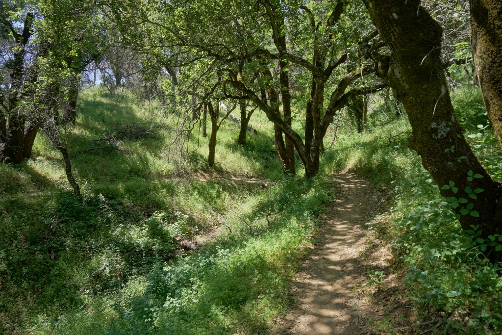 DSC04203