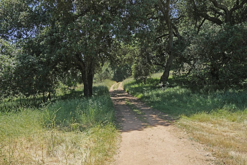 DSC04210