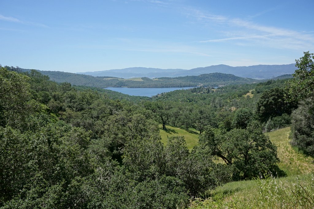 DSC04235