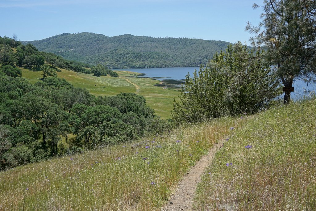 DSC04260