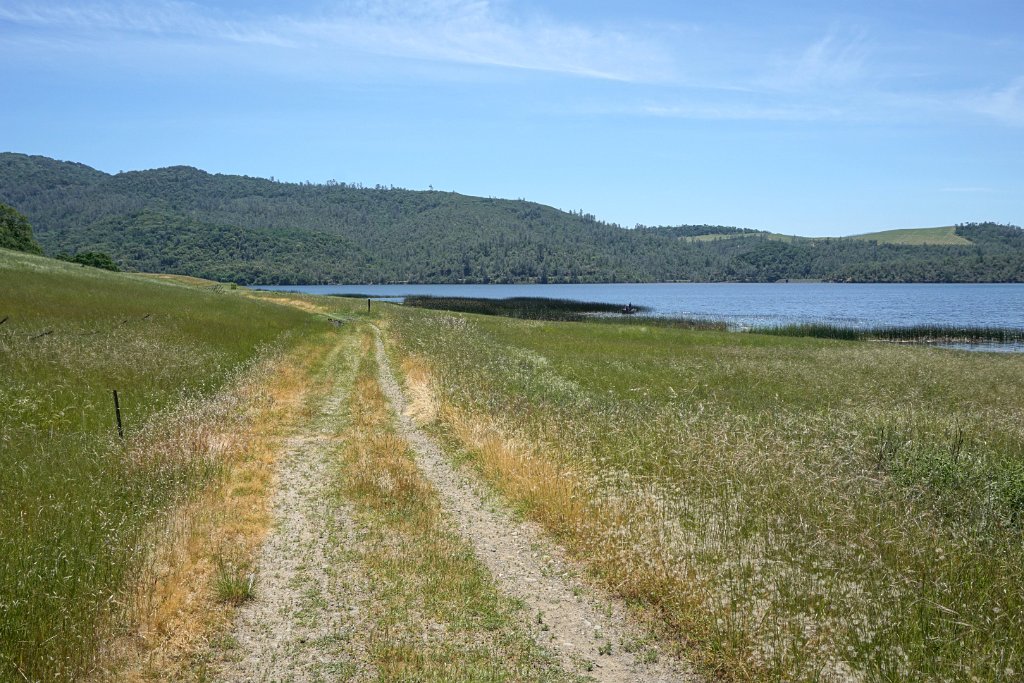 DSC04273