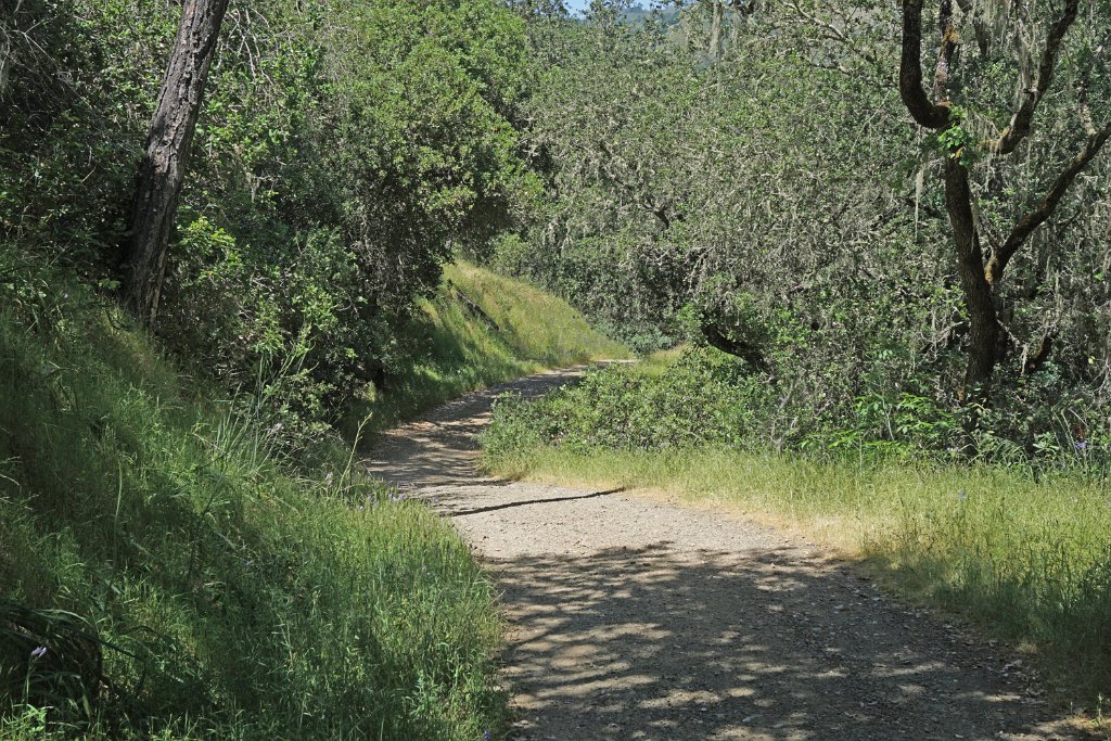 DSC04297