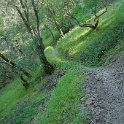 DSC04061