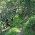 DSC04063