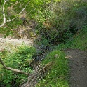 DSC04071