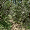 DSC04085