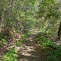 DSC04087