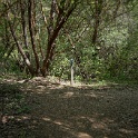 DSC04097