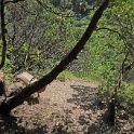 DSC04099