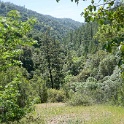 DSC04101