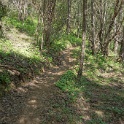 DSC04107